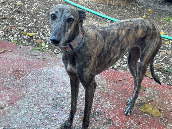 03b70c05-233b-49e1-90a8-168872461dbf