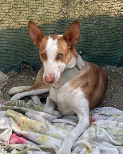 0c482e27-2705-47e2-be86-9c9a4a08d0e2