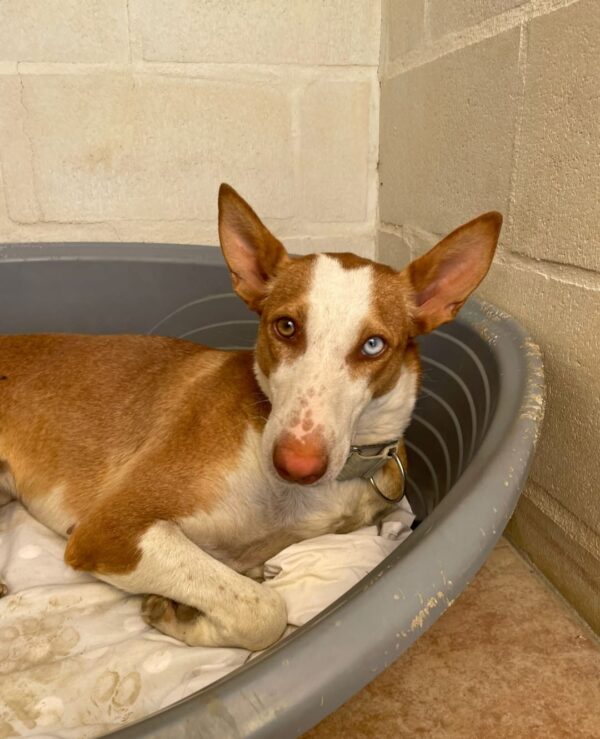 1833bef2-b235-4f32-a390-0d0577a3e467