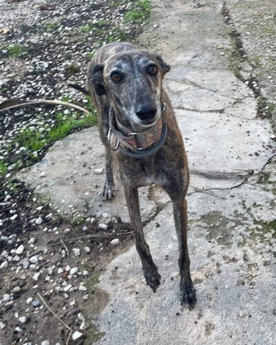 647de744-521b-45ae-8bba-942b16dca794