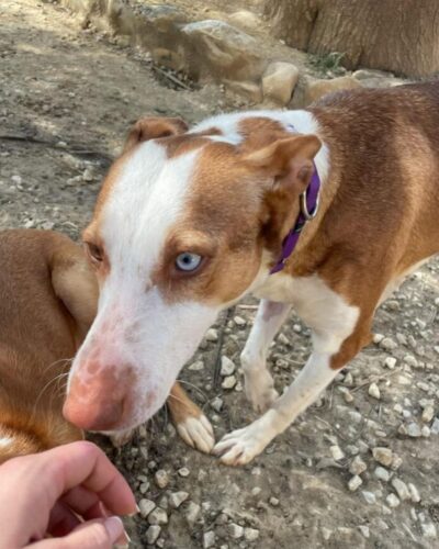 72bc52c0-296e-443f-aac2-4da7d1a2bced