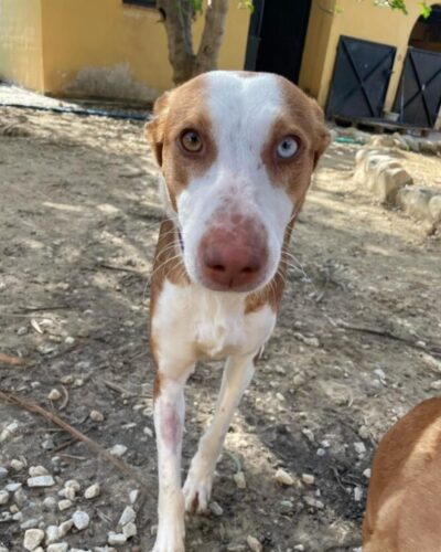 96d1b0bb-4d9d-4c0e-8e91-d8763e060dfc