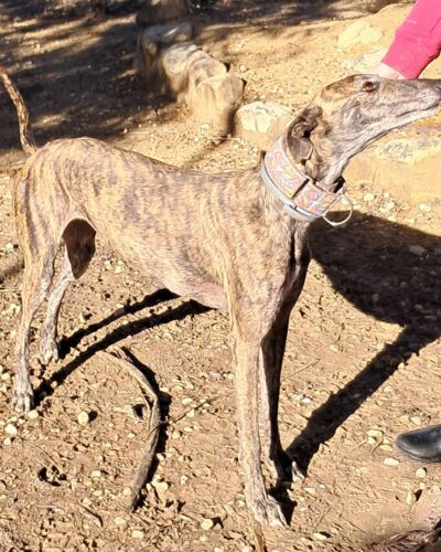 WhatsApp Image 2026-01-08 at 20.43.12 (1)