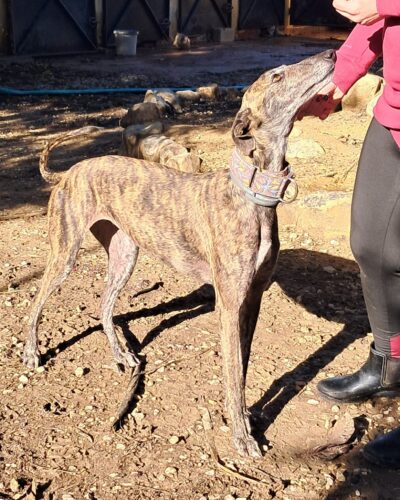 WhatsApp Image 2026-01-08 at 20.43.12 (2)