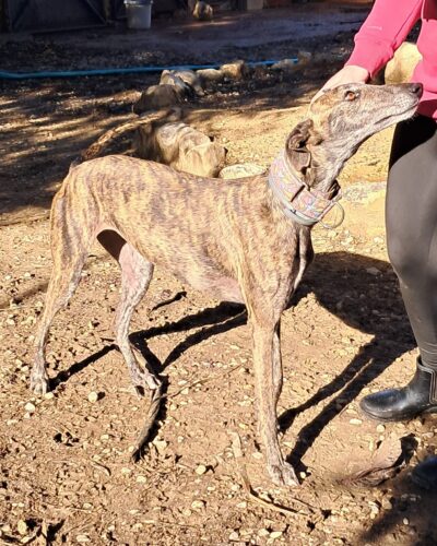 WhatsApp Image 2026-01-08 at 20.43.13