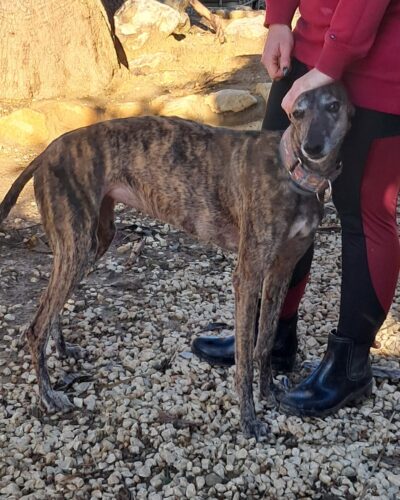 WhatsApp Image 2026-01-08 at 20.43.14 (1)