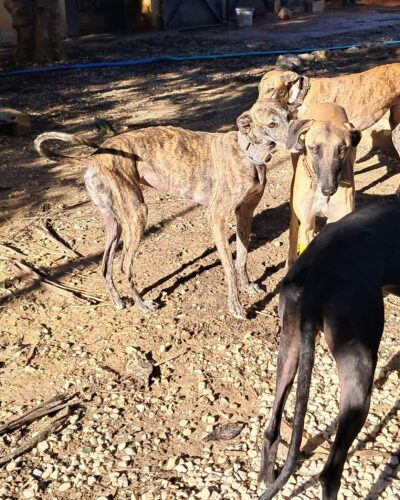 WhatsApp Image 2026-01-08 at 20.43.14