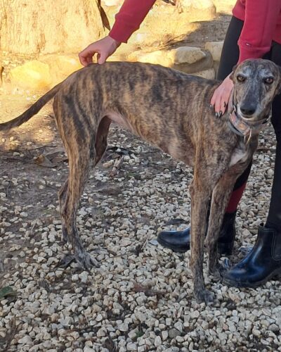 WhatsApp Image 2026-01-08 at 20.43.15