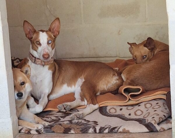 WhatsApp Image 2026-03-30 at 01.18.55