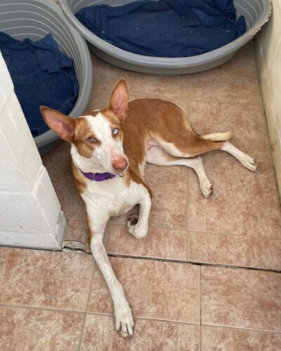 dfa1680b-8a12-463f-8a01-6eec5c7e0d24