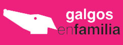 Galgos en Familia