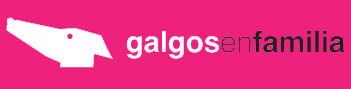 Galgos en Familia