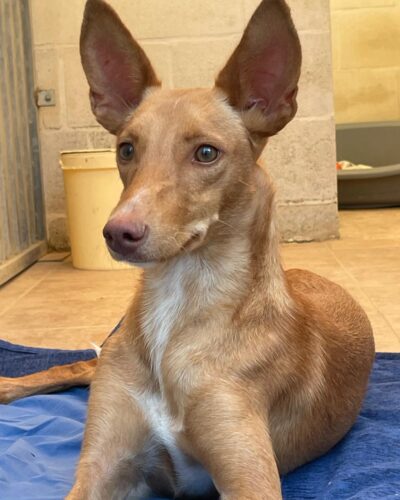 06dab6a8-783c-4360-a81d-174dd28a3229