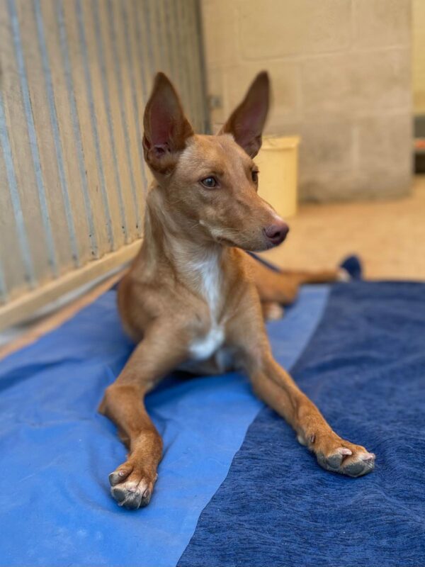 23ab765c-58ab-490a-8398-10b688945417