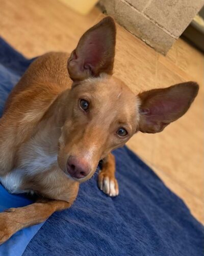 30f82759-2b02-480b-825f-edd3014b0f50