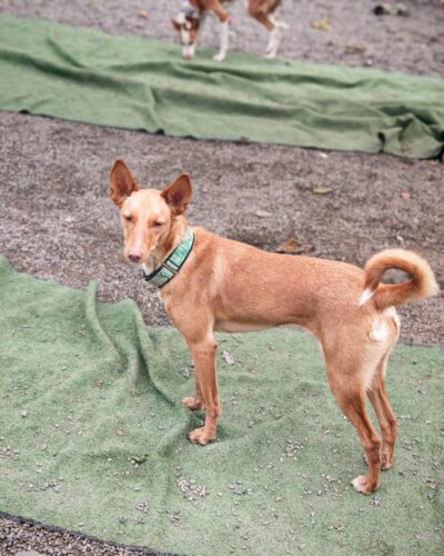 bb5853bb-4b8d-4c27-92fe-1fa3643bbee3