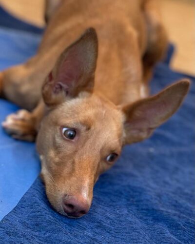 c37ab9ff-a1c3-4ea2-9c04-c5868ad8f68b