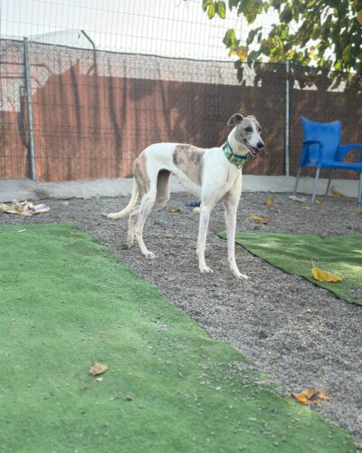 IMG-20251012-WA0053 IMG-20251012-WA0053