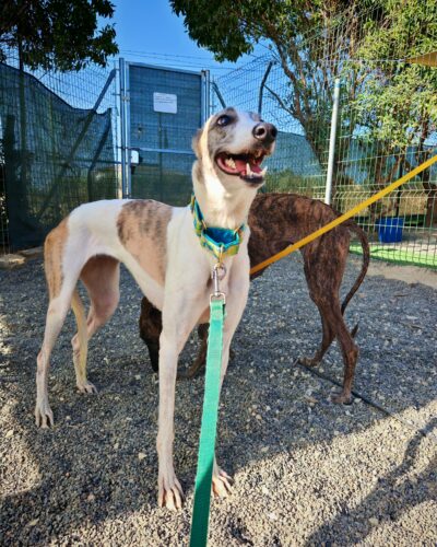 IMG-20251013-WA0020 IMG-20251013-WA0020