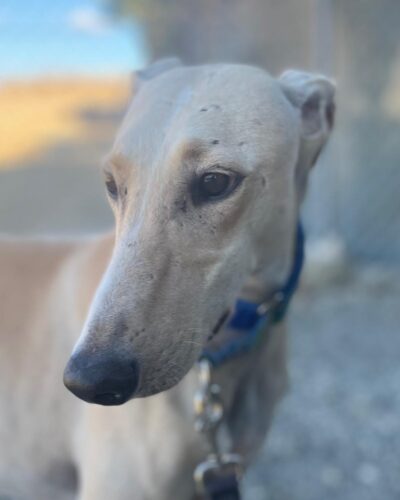 IMG-20251022-WA0003 IMG-20251022-WA0003