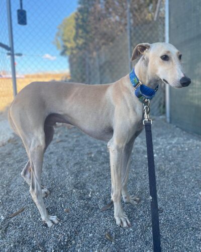 IMG-20251022-WA0004 IMG-20251022-WA0004