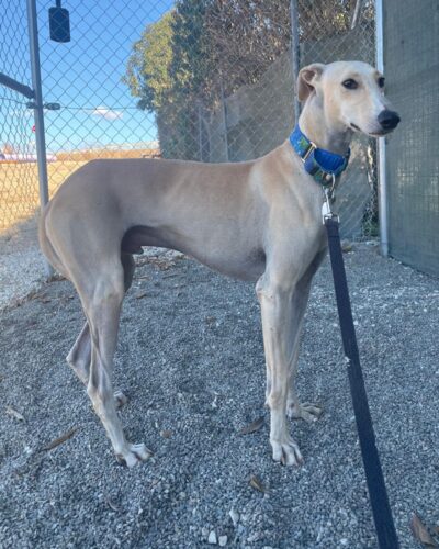 IMG-20251022-WA0005 IMG-20251022-WA0005