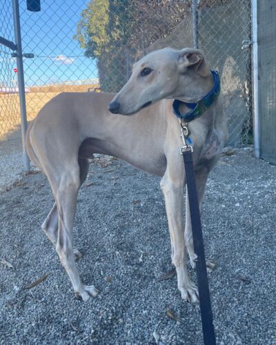 IMG-20251022-WA0006 IMG-20251022-WA0006