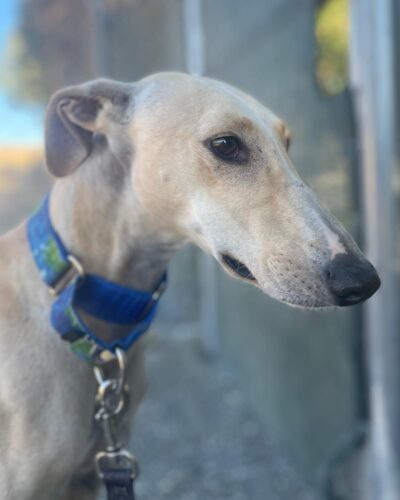 IMG-20251022-WA0007 IMG-20251022-WA0007