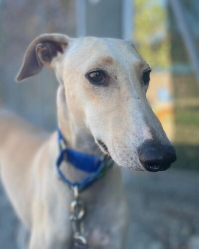 IMG-20251022-WA0010 IMG-20251022-WA0010