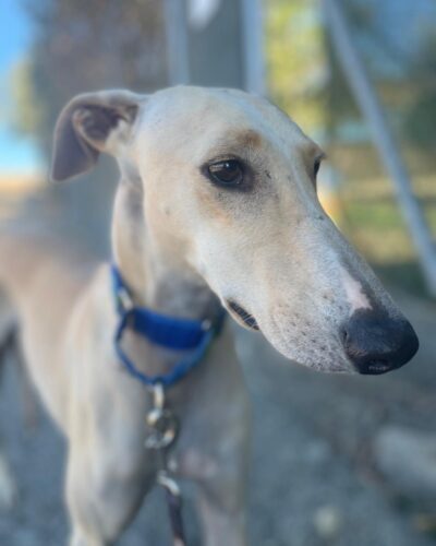 IMG-20251022-WA0011 IMG-20251022-WA0011