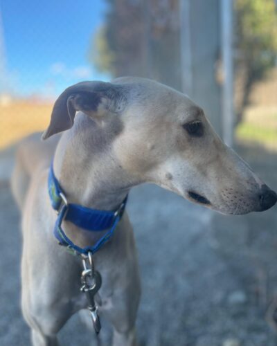 IMG-20251022-WA0012 IMG-20251022-WA0012