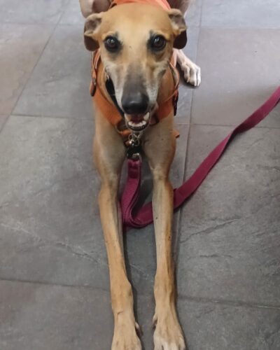 IMG-20251022-WA0020 IMG-20251022-WA0020