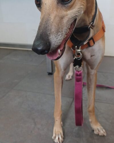 IMG-20251023-WA0045 IMG-20251023-WA0045