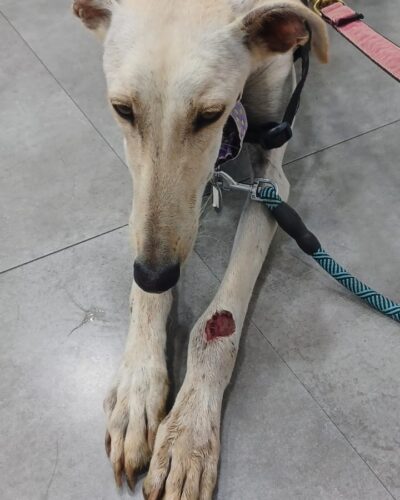 IMG-20251028-WA0006 IMG-20251028-WA0006