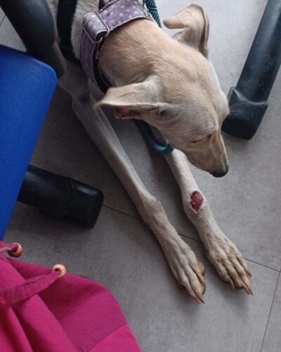 IMG-20251028-WA0008 IMG-20251028-WA0008