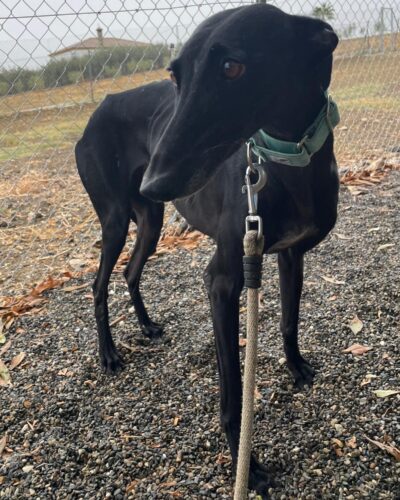 IMG-20251029-WA0005 IMG-20251029-WA0005