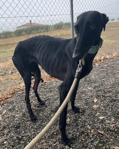 IMG-20251029-WA0006 IMG-20251029-WA0006