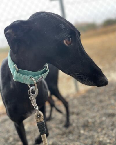 IMG-20251029-WA0007 IMG-20251029-WA0007