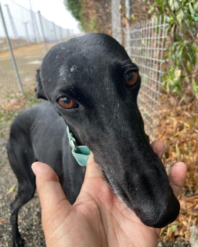 IMG-20251029-WA0008 IMG-20251029-WA0008