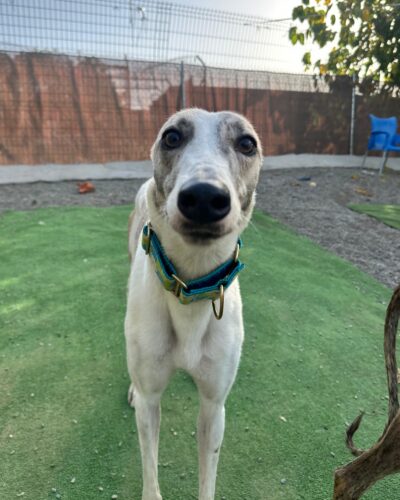 IMG_20251014_150844 IMG_20251014_150844