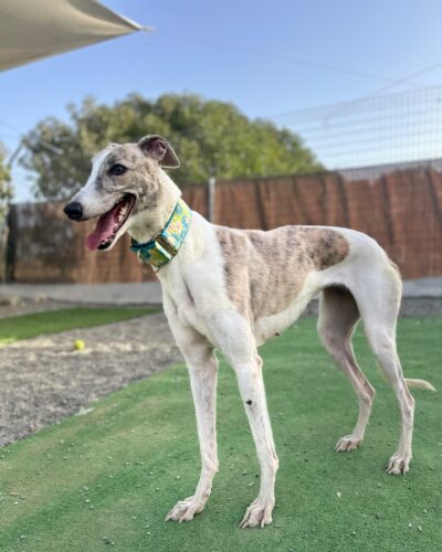 IMG_20251014_150903 IMG_20251014_150903