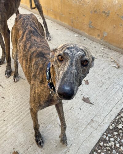 WhatsApp Image 2025-10-21 at 21.41.54 (1) WhatsApp Image 2025-10-21 at 21.41.54 (1)