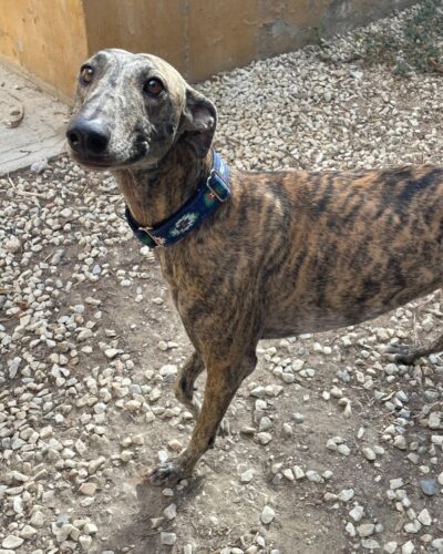 WhatsApp Image 2025-10-21 at 21.41.55 (1) WhatsApp Image 2025-10-21 at 21.41.55 (1)