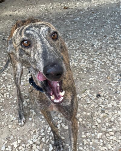 WhatsApp Image 2025-10-21 at 21.41.55 (4) WhatsApp Image 2025-10-21 at 21.41.55 (4)