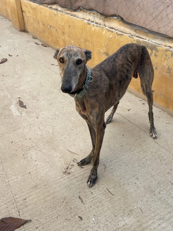 WhatsApp Image 2025-10-21 at 21.41.55