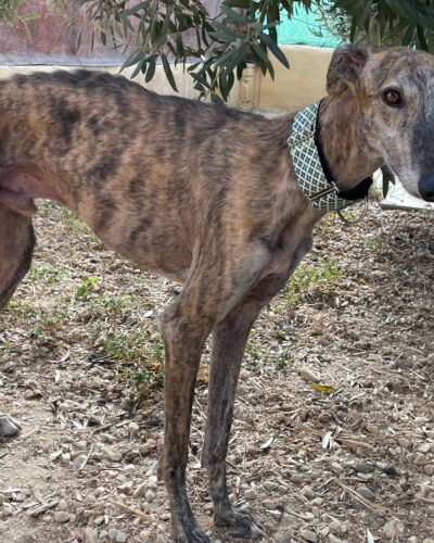 WhatsApp Image 2025-10-21 at 21.41.56 (2) WhatsApp Image 2025-10-21 at 21.41.56 (2)