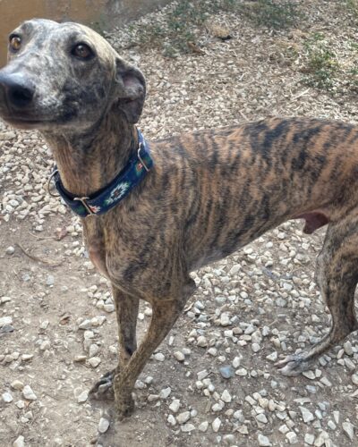 WhatsApp Image 2025-10-21 at 21.41.56 (3) WhatsApp Image 2025-10-21 at 21.41.56 (3)