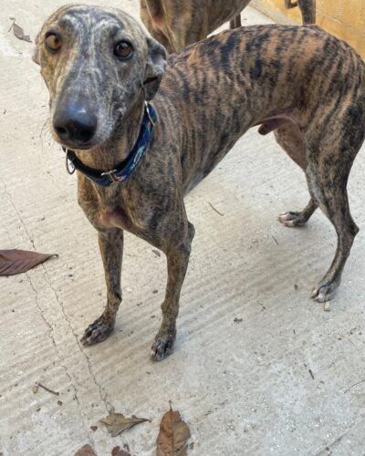 WhatsApp Image 2025-10-21 at 21.41.56 (4) WhatsApp Image 2025-10-21 at 21.41.56 (4)