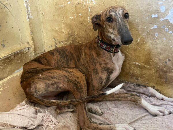 WhatsApp Image 2025-10-21 at 21.41.57