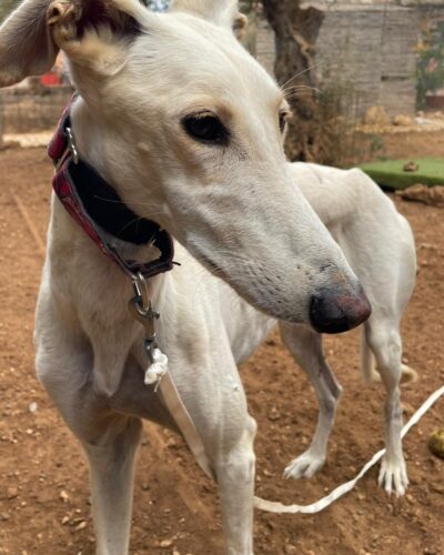 WhatsApp Image 2025-11-03 at 12.52.10 WhatsApp Image 2025-11-03 at 12.52.10